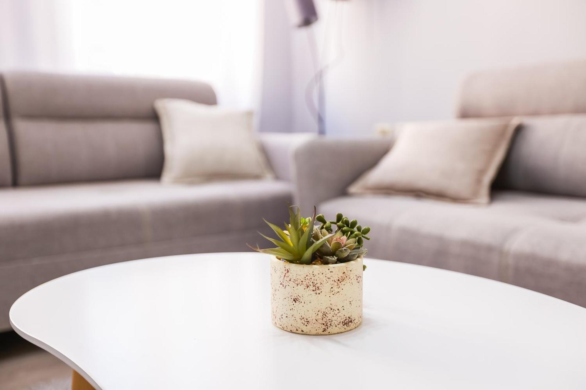 Viewpoint Central Apartment تيرانا المظهر الخارجي الصورة
