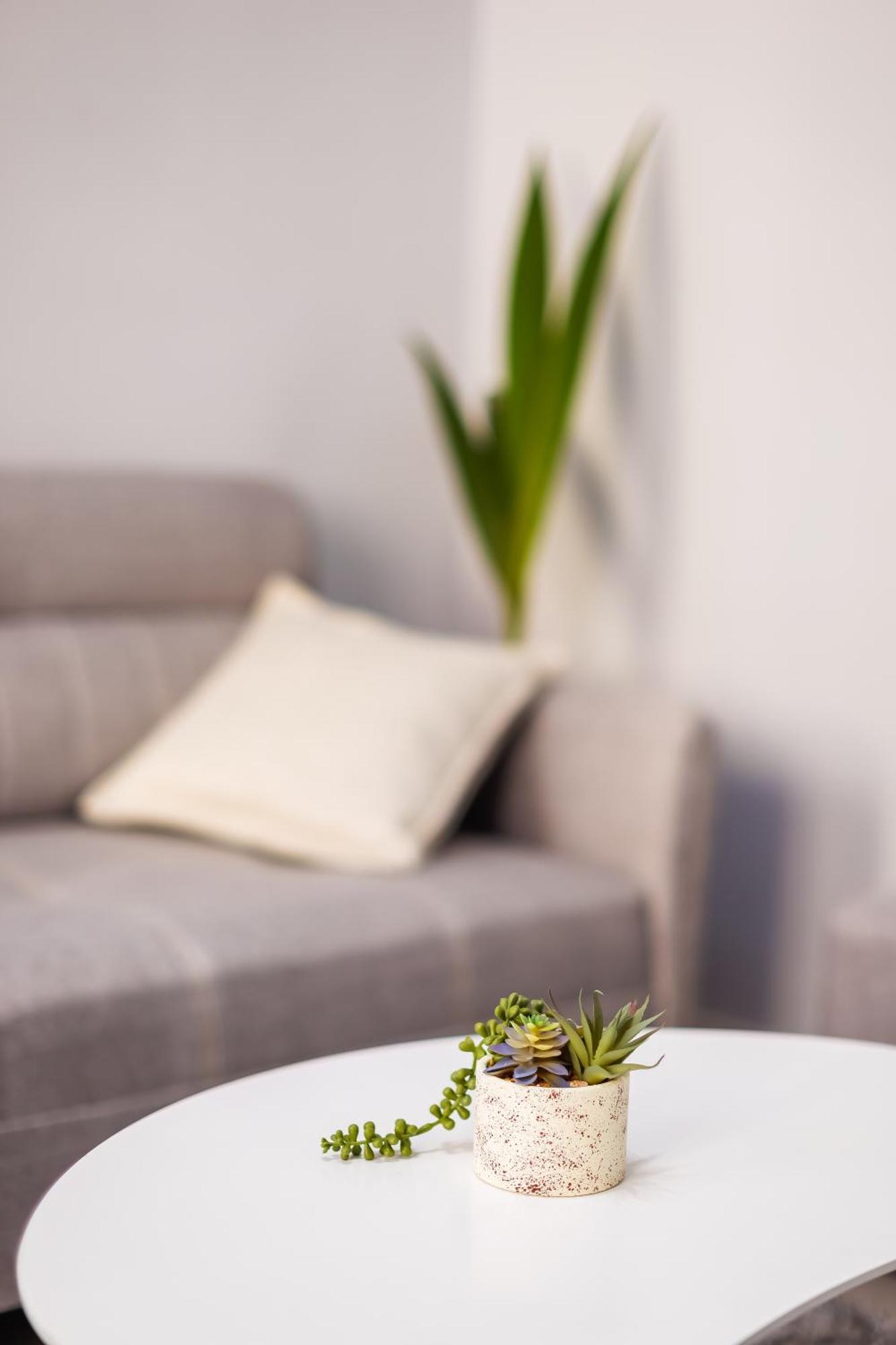 Viewpoint Central Apartment تيرانا المظهر الخارجي الصورة